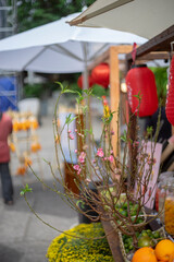Fototapeta premium Everything standing in traditional clothing. fences surrounded by pink wildflowers.Religion uses festivals to show off prestige, festivals use religion to deify mundane things.