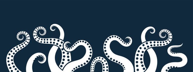 Octopus tentacles. Isolated octopus tentacles on white background © oleg7799