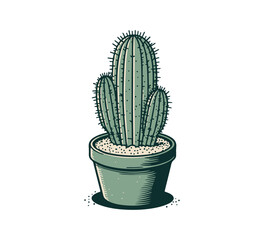 Indoor cactus plant hand drawn vector illustration graphic asset