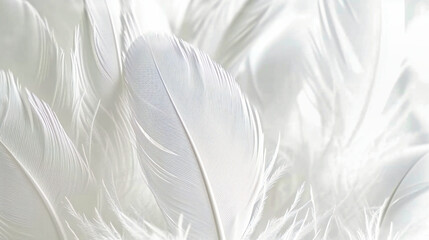 Fototapeta na wymiar Closeup of a delicate feather with a soft and fluffy texture, presenting an abstract and colorful design in a natural and elegant setting