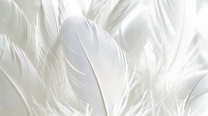 Fototapeta premium Closeup of a delicate feather with a soft and fluffy texture, presenting an abstract and colorful design in a natural and elegant setting