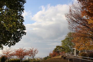秋の風景　公園