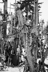 Guardians of Belief: Lithuania's Hill of Crosses Stands Tall