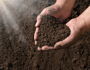 Man's hands holding a handful of earth