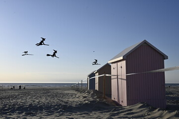 Festival du Cerf-volant à Berck-sur-mer