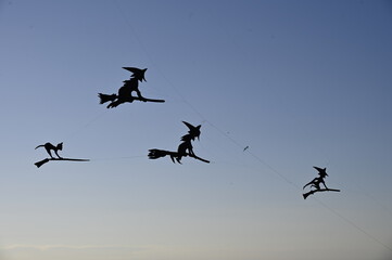 Festival du Cerf-volant à Berck-sur-mer