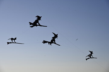Festival du Cerf-volant à Berck-sur-mer