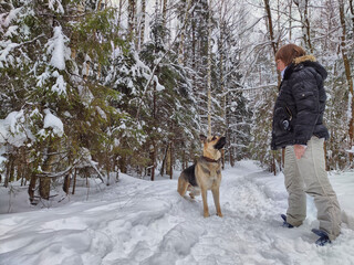 Adult girl, shepherd dog and training in a winter forest. Middle aged woman and big shepherd dog on nature in cold day. Friendship, love, communication, fun