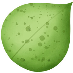 Green leaf