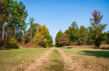 Fototapeta na wymiar Cowpens National Battlefield Park, in South Carolina, Major Battlefield of the American Revolutionary War