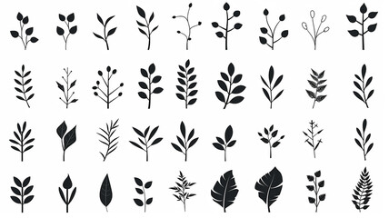 set, collection of simple leaves and branches isolated on a white background, minimalism flat graphics for design, black and white style - obrazy, fototapety, plakaty