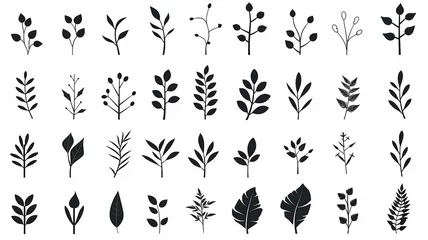 Fotobehang set, collection of simple leaves and branches isolated on a white background, minimalism flat graphics for design, black and white style © kichigin19