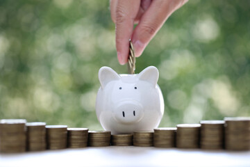 Finance, Piggy bank and coins money on natural green background, Save money for prepare in future...