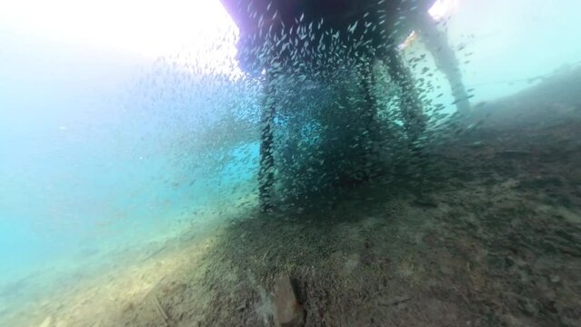 insta 360 footage under the water