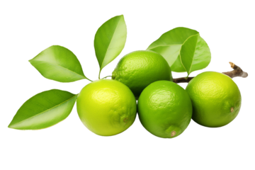 lime with leaves cut out