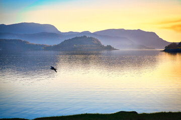 Fjord in Norway at Westcap. Seagull flies over the water before sunset. Mountains