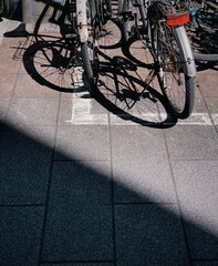 The sunlight casting onto the pavement forms a contrast with the shadows.