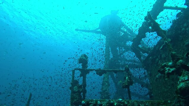 Views of the HTMS Chang wreck off the coast of Koh Chang island in Thailand, with a focus on the resident Platax, or Batfish, that inhabit the wreck.