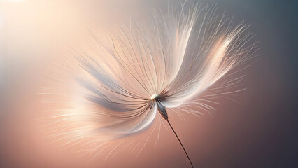 Delicate Dandelion Seed Macro Soft Pastel Backdrop