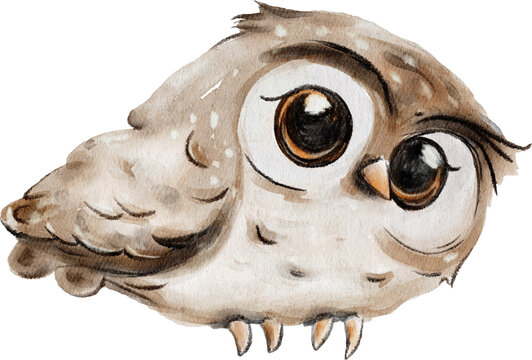 Cute watercolor owl with big eyes , png, transparent background