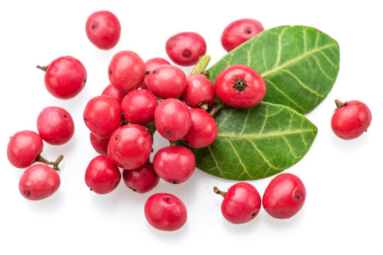 Fresh pink peppercorns and green leaves isolated on white background.
