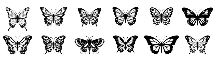 Obraz premium Butterfly vector illustration, black silhouette on white background. Moth with ornament on wings scrapbook graphic element