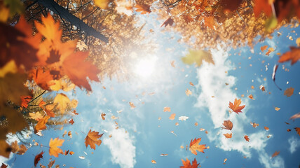 autumn leaf fall, falling leaves on the background of a light blue autumn sky, yellow and red leaves flying from the sky, view up - 729125972
