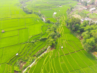 Picturesque landscape of water canal. Top view from drone of water canal in the middle of green rice terrace field with shape and pattern at Cikancung, Indonesia. Shot from a drone 