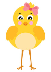 Cute yellow little chick isolated