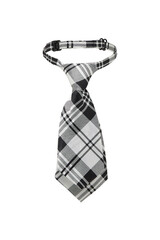 Close-up shot of a short women's tie with plaid print. Pre-tied black and white tie with an adjustable strap is isolated on a white background. Front view.