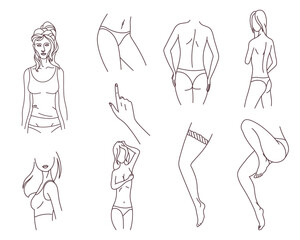 Female body parts. Sensual woman. Body positivity, self love, femininity concept. Character wears underwear, bra and panties. Linear flat vector illustration on white background