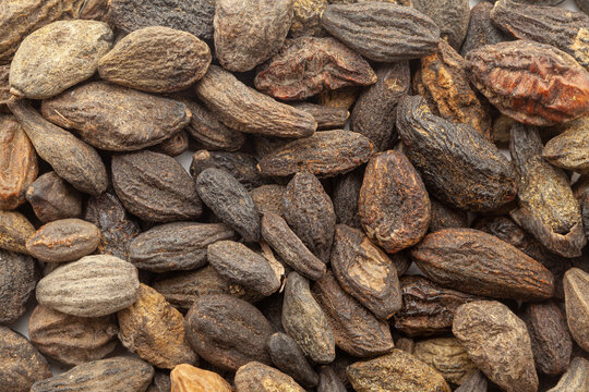 Close-up of Organic Dry Myrobalan or Harad (Terminalia chebula), Full-Frame wallpaper. Top View