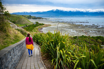 hiker girl enjoying a walk on kaikoura coast track in canterbury, new zealand; scenic track on...