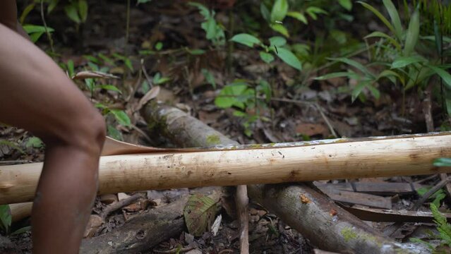 Members of the Mentawai Tribe in Indonesia showing the process of how they make their loincloths. The tribesman can be seen hitting the bark of a tree which is the material used for the loincloth.
