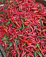Chilli pepers - 729143316