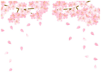 桜の花が美しい春の桜フレーム背景17