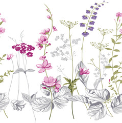 seamless border of wild flowers and plants on a white background, watercolor illustration.
