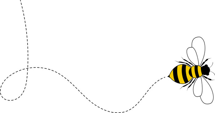 Flying bee route. Cartoon bee icon. Bee flying on a dotted route isolated on the white background. Vector illustration