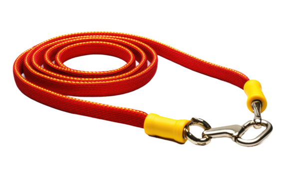 Dog Leash on a White or Clear Surface PNG Transparent Background