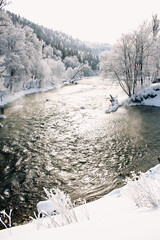 Tranquil Snow-Covered Forest River Scene with Majestic Trees and Serene Winter Landscape