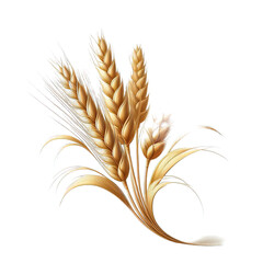 wheat ears isolated on white