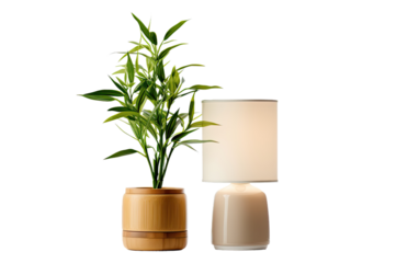 table lamp with bamboo plant on a White or Clear Surface PNG Transparent Background