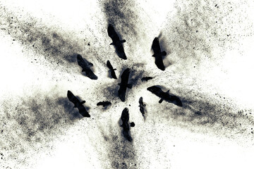 Flying birds of prey. Abstract art nature. Dispersion, splatter effect. White background. - obrazy, fototapety, plakaty