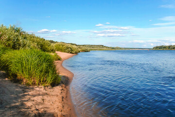Sandy shore with sedge by river on sunny summer day. Picturesque landscape.