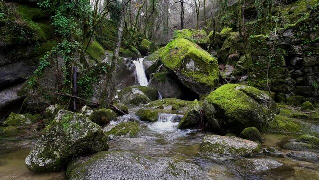 Bugio River Waterfall in Lush Barrias, Felgueiras, Portugal