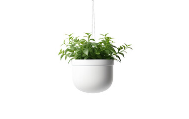 White Plastic Hanging plant Pot on a White or Clear Surface PNG Transparent Background