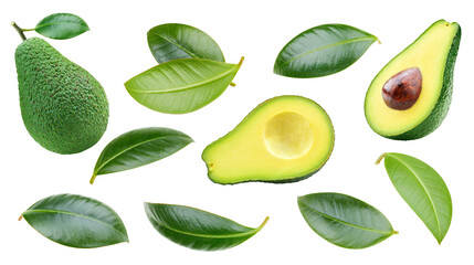 Avocado collection with leaves
