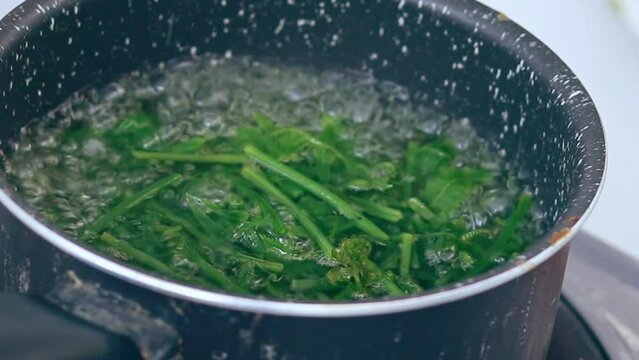 Ambient motion of wild edible fiddlehead ferns or Diplazium esculentum blanching in boiling water to make pako salad, an authentic Filipino local delicacy
