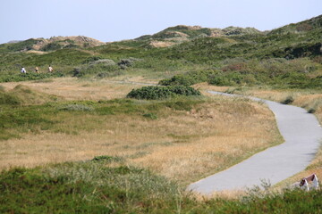 North Sea dunes with path