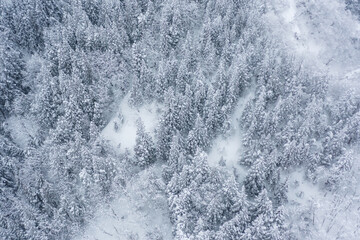 ドローン撮影：真っ白な雪に覆われた山